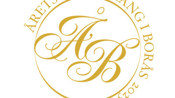 Vinci Borås Ab logo