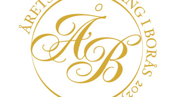 Vinci Borås Ab logo