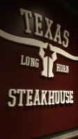 Texas Longhorn Solna logo